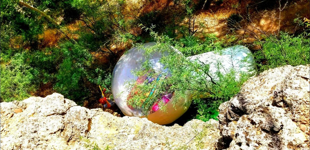 Hôtel Cave, Yurt, Bubble And Other Glamping Adventures à Sedona Extérieur photo