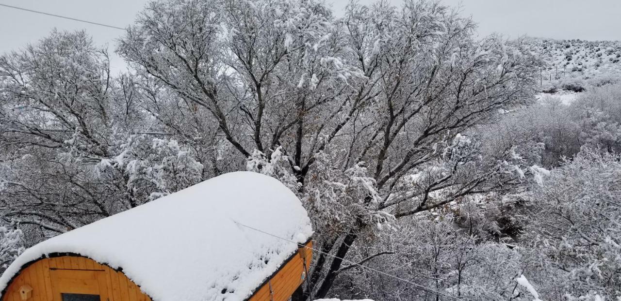 Hôtel Cave, Yurt, Bubble And Other Glamping Adventures à Sedona Extérieur photo